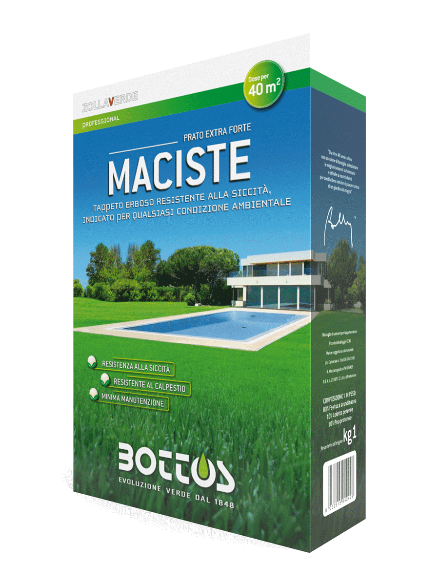 Zollaverde Maciste – 1 Kg.