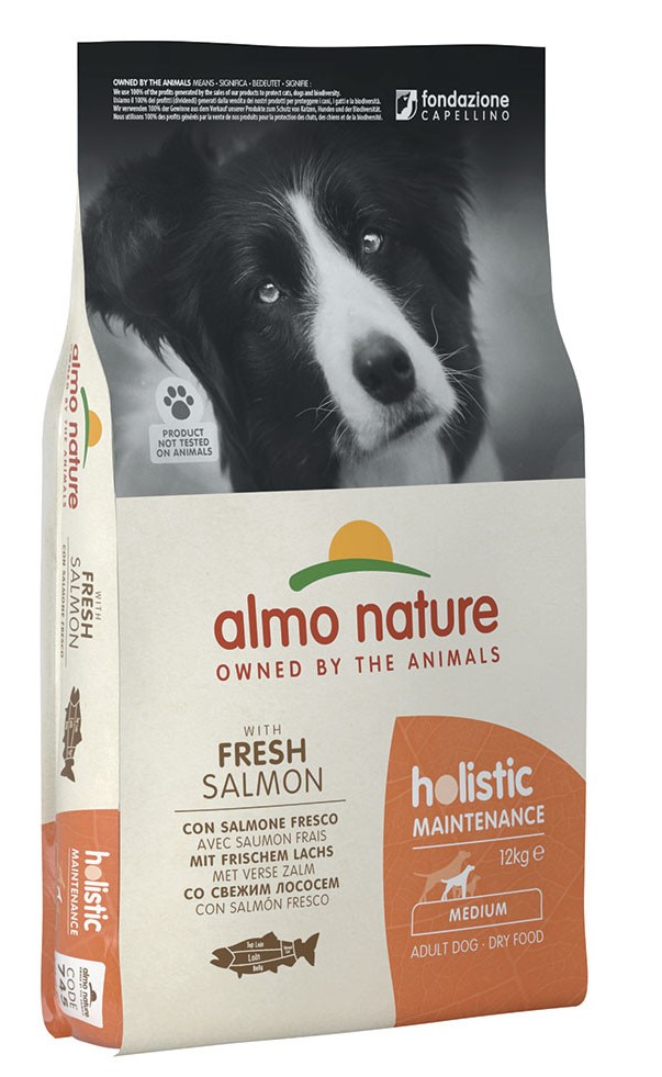 Holistic Medium Salmone – 12 kg