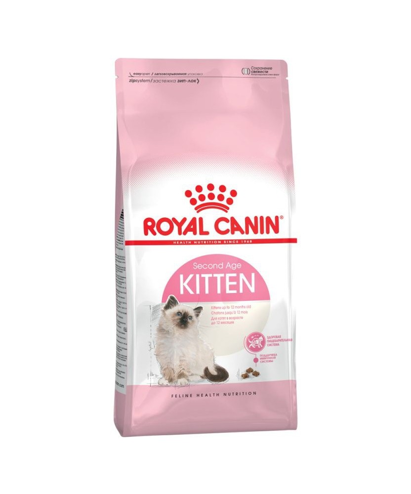 Kitten – 2 KG