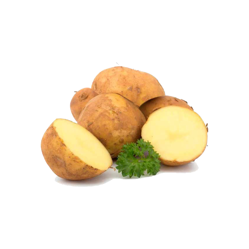 Minituberi Patate MONALISA- 1,5 Kg