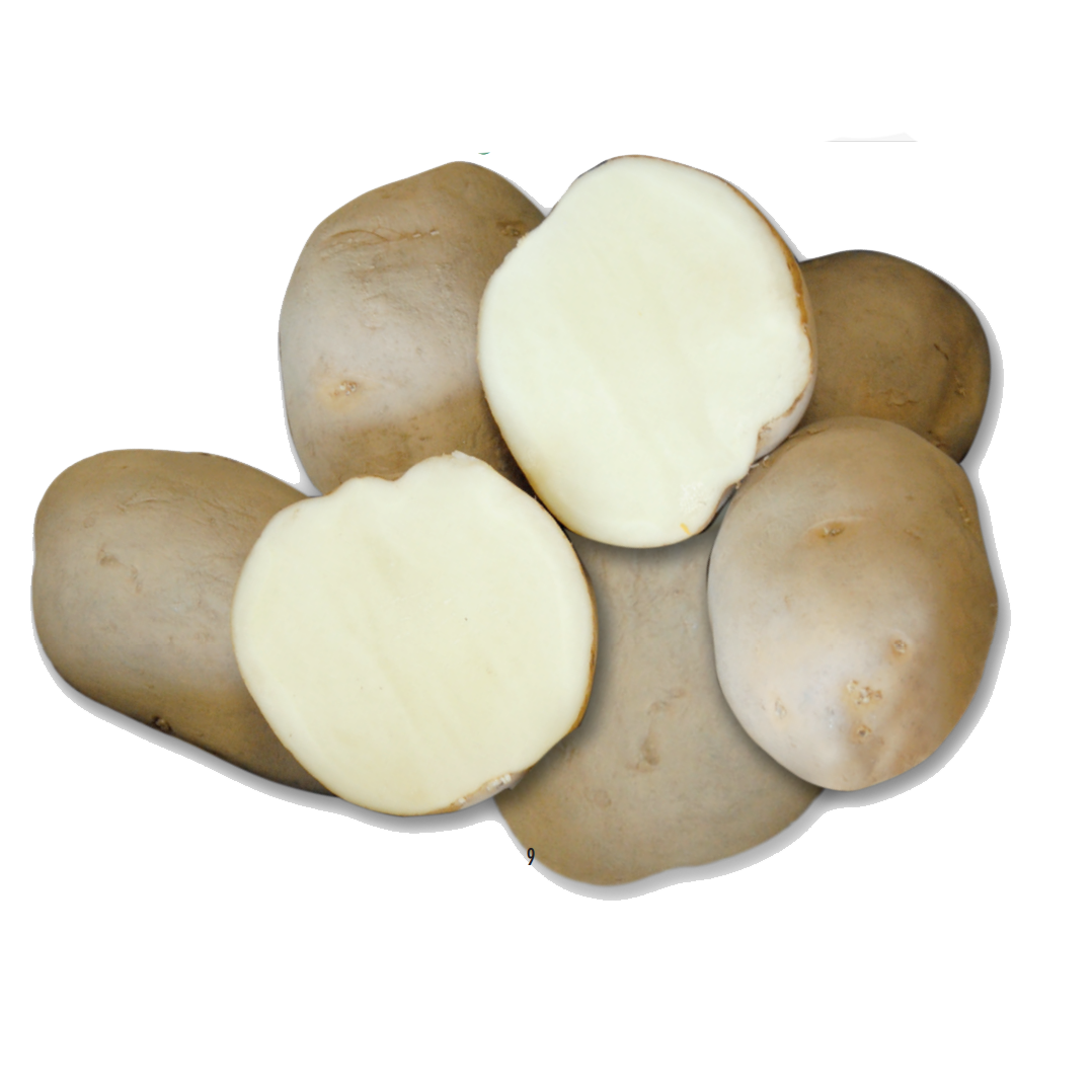 Minituberi Patate Federica – 1,5 Kg