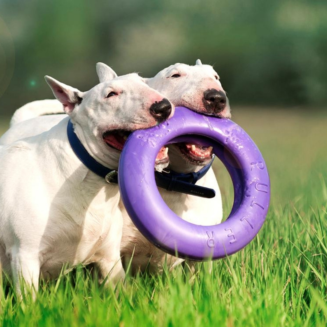 Dog Puller Midi – 2 Anelli