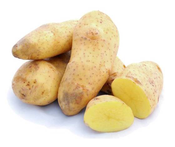 Minituberi Patate Spunta – 1,5 Kg