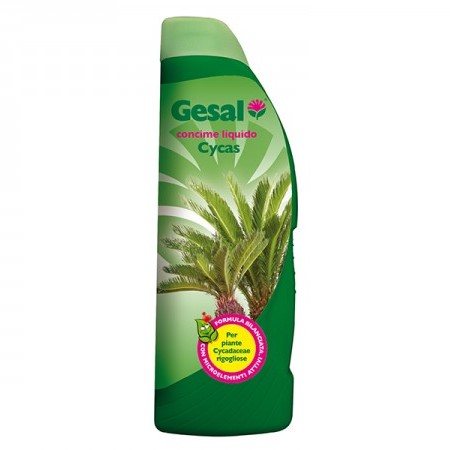 Concime Liquido Cycas Palme – 500 ml