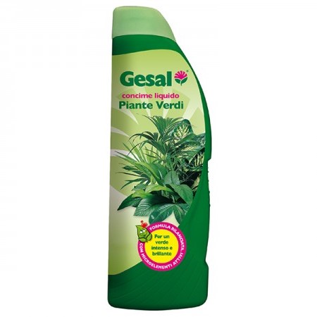 Concime Liquido per Piante Verdi – 1 litro