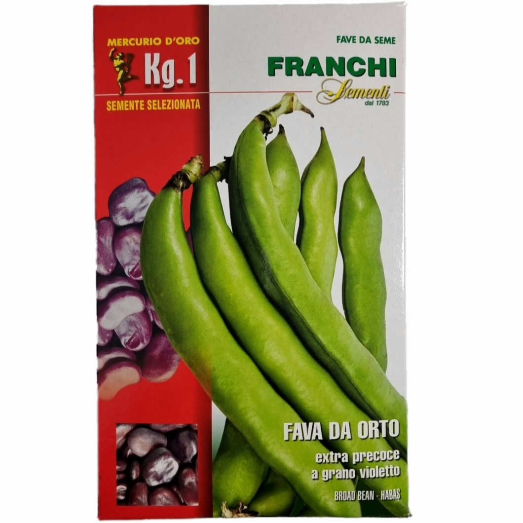 Fava Extraprecoce A Grano Violetto – 1 Kg