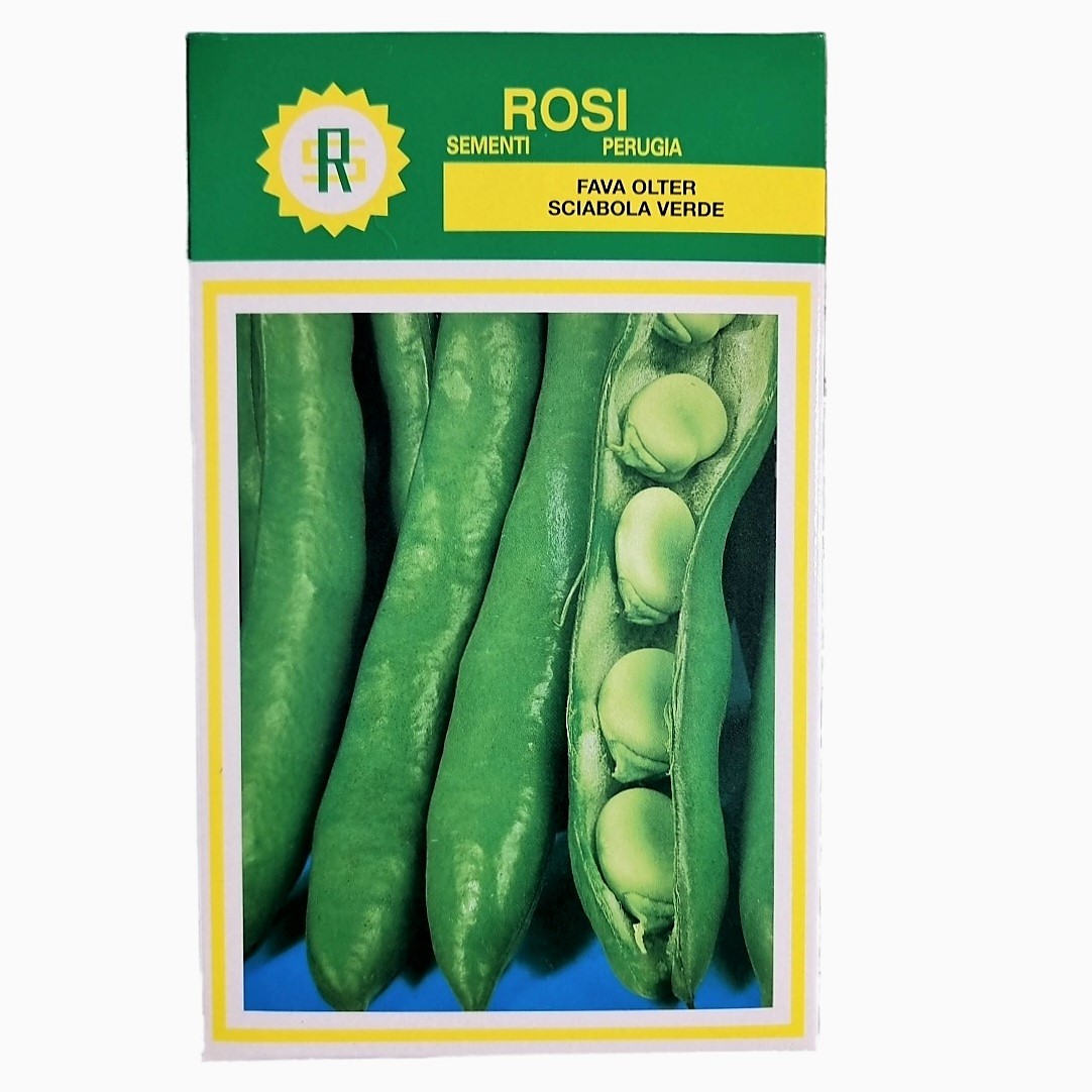 Fava Olter Sciabola Verde – 1 Kg