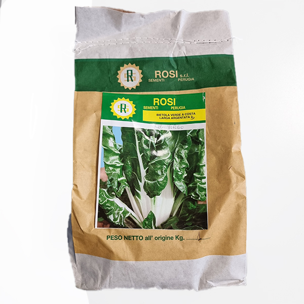 Bietola verde a costa larga argentata – 1 Kg