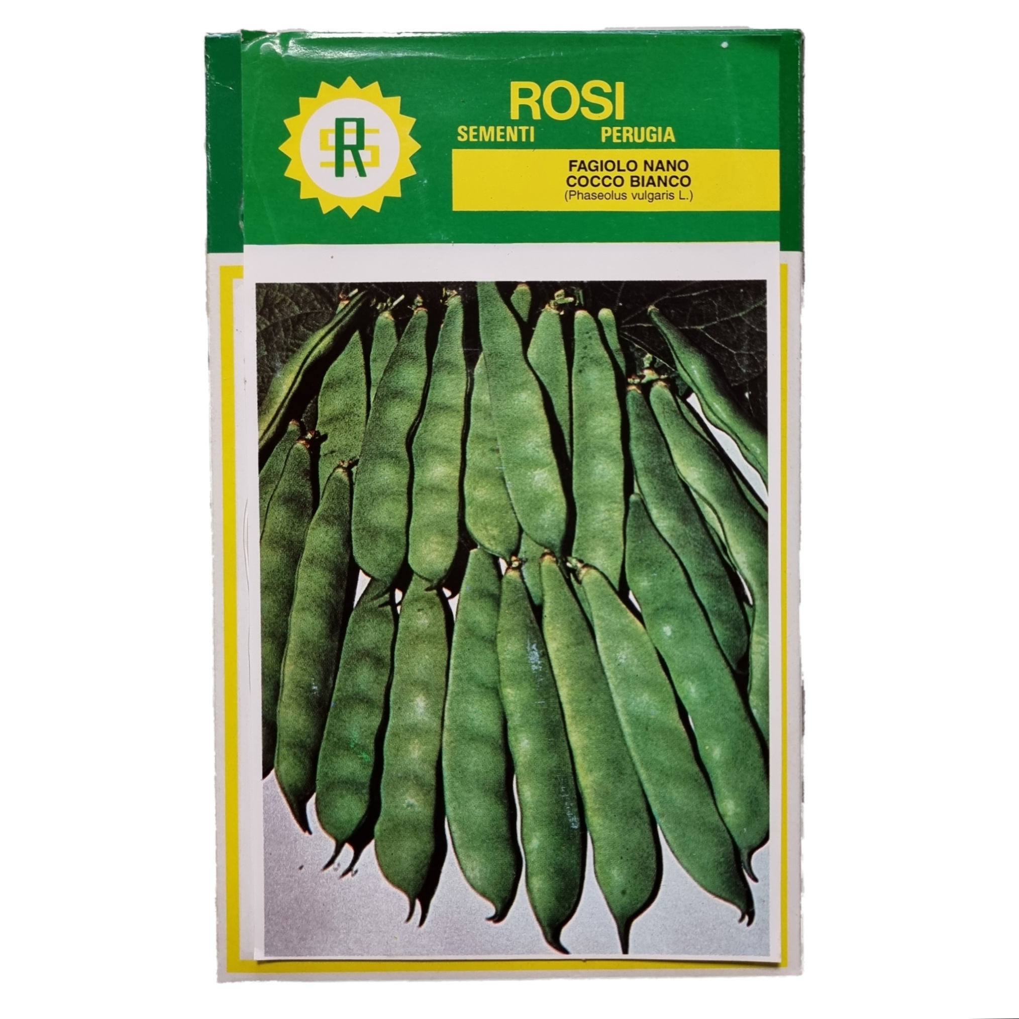 Fagiolo Nano Cocco Bianco – 1 Kg