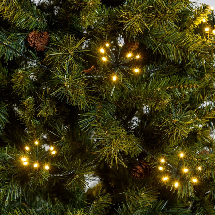 Catena Bunch bianco caldo – 40 ciuffi luminosi da 8 led