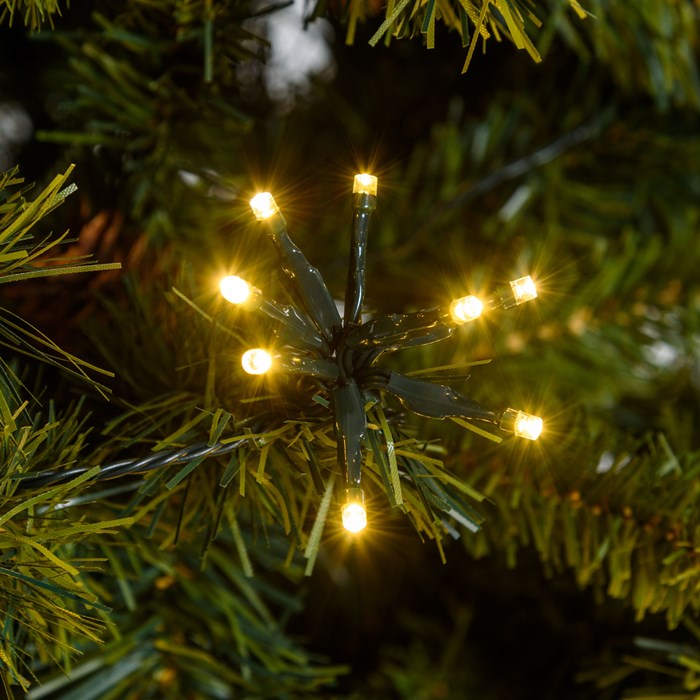 Catena Bunch bianco caldo – 40 ciuffi luminosi da 8 led